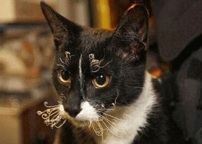 笑死人的情感说说-笑死人的说说加图片：老师说我是搅屎棍，那么我同学是什么？