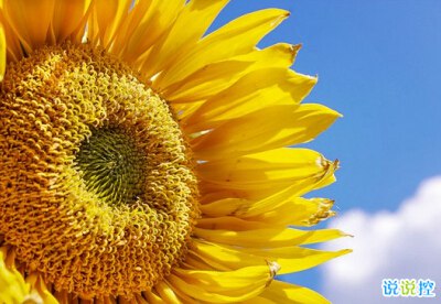 长说说大全带图片，QQ空间超长说说带图片8