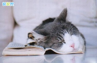 长说说大全带图片，QQ空间超长说说带图片12