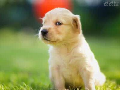 逗比的说说带图片,逗比说说配图4 逗比的说说带图片,逗比说说配图4