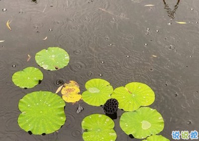 下雨天句子有点丧 思念无果大雨滂沱2