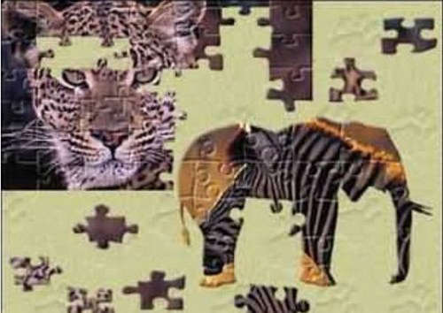 非洲动物拼图(Animals of Africa)_【益智休闲拼图游戏单机版】(7.9M)