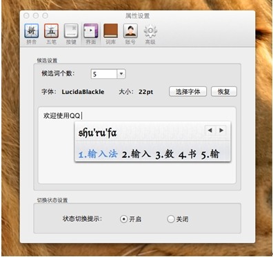 QQ输入法 for Mac_【汉字输入qq输入法,拼音输入法,苹果电脑输入法,mac输入法】(25.9M)