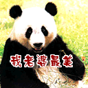 熊猫烧香qq表情_【qq表情qq表情】(2.7M)
