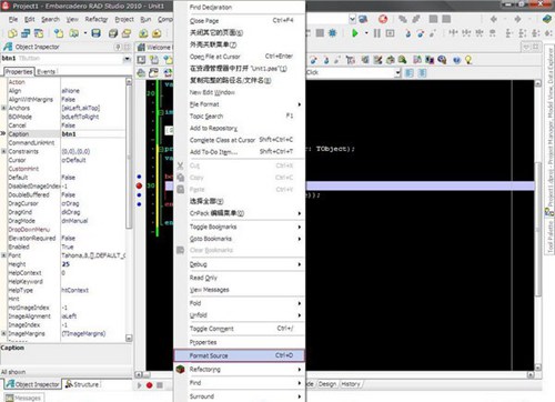 DelForEx Delphi(源码格式化工具 )_【编程开发DelForEx Delphi,源码格式化工具 ,】(850KB)