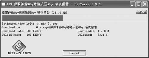 BitTorrent_【下载软件BitTorrent】(1.9M)
