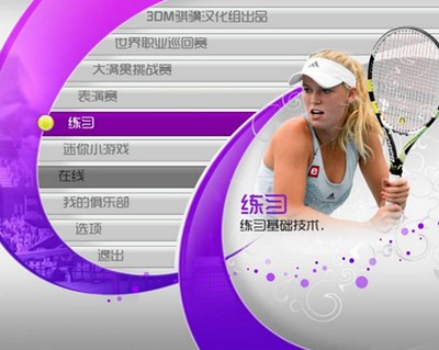 虚拟网球4_【体育竞技网球游戏单机版】(2.44G)