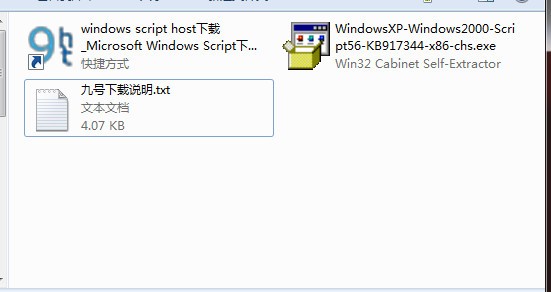 Microsoft Windows Script_【升级补丁Windows Script】(684KB)