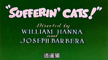 猫和老鼠逍遥猫