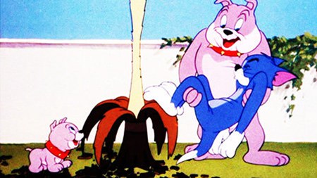 猫和老鼠小狗的故事